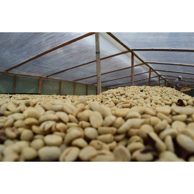 Kolombija Decaf Tumbaga 200g - slika 3